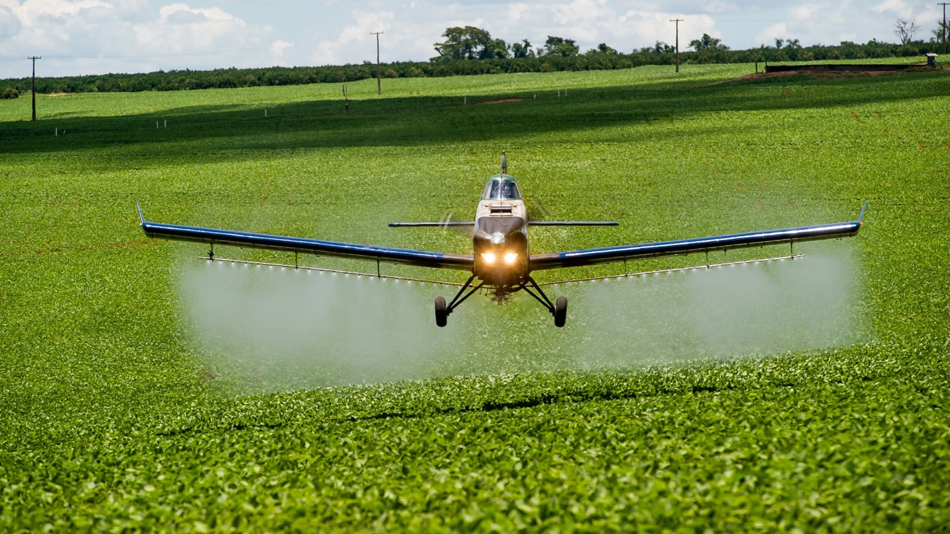 Embraer Ipanema 203 in official image of the aircraft