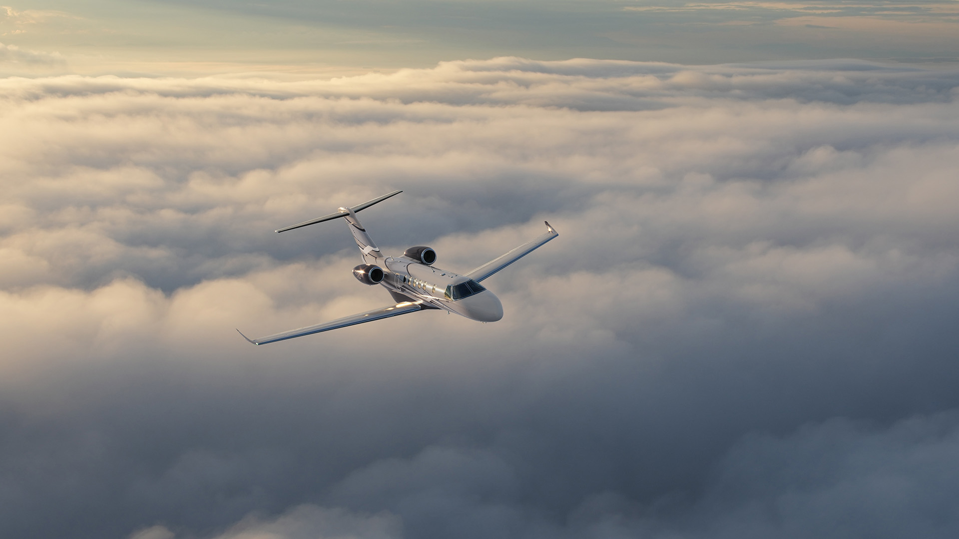 O que os números oficiais mostram